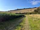 Lane by the maze