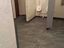 Toilets