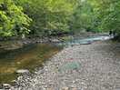 Nice wise bank by the river