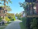 Allee