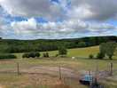 Forrest view