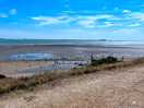 Mersea