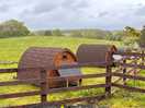 Glamping pods