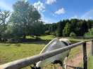 Farm