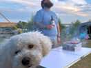 Bbq