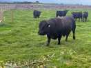 Our neighbours