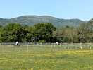 View of the hills