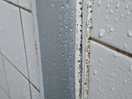 Shower wall