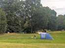 Lovely field to pitch in