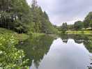 Peaceful