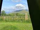 My morning view from my tent!