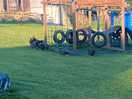 Chickens and play area