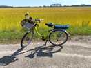 Bike hire