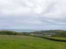 View from a distance