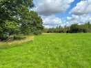 Beautiful field