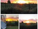 Sunset over apple orchard next door...