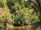 Swim spot !