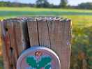 Hop over the campsite stile for a walk.