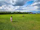Grassland