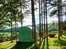 The pods in the evening sunshine.