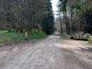 Walk down to the castle.