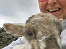 Lamb time