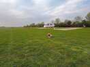 Great field to walk dogs