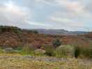 Walk around the estate