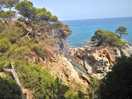 Lloret de mar