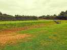 Two tiered accommodation fields