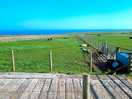 View of the farm animals and coast
