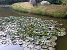 Fishing lake