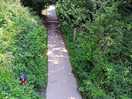 Cuckoo walk