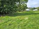 Bottom field