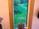 Dave at his favourite window