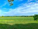 Countryside view
