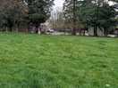 Field