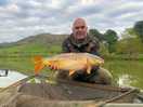 Mirror carp