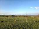View from site.