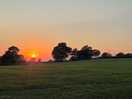 Sunset on the field beside the site