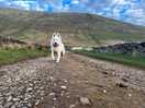 Exploring the surrounding hills
