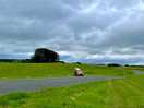 The camping pitches