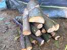 Logs to burn