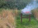 Disposable bbq included