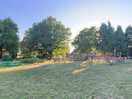 Field