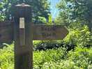Signpost to beach