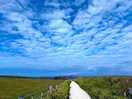 Path to beach