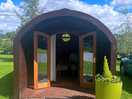 Photo of pod with beautiful sunshine