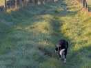 Great walks