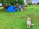 Lovely campsite